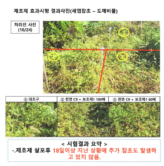 9374a0f53db48a690d3020be51fadfbc_1784010897_4448.png 9374a0f53db48a690d3020be51fadfbc_1784010897_4448.png